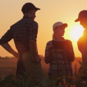 Unlocking Your Farm's Employee Potential: Transitioning from Micro-management to Empowerment