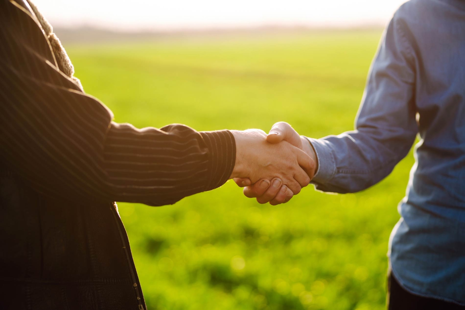 Working With a Farmer Coach: 6 Key Advantages of Coaching