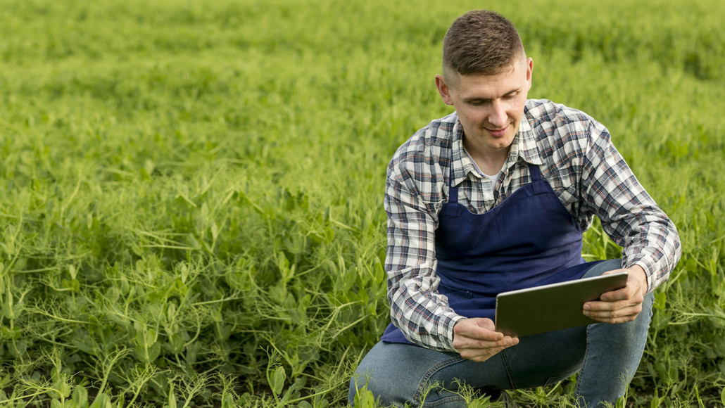 Data Management in Agriculture: A more data-driven agriculture approach allows us to identify areas for improvement and create a more balanced lifestyle as a result of improved decision-making.