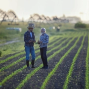 Working With a Farmer Coach: 6 Key Advantages of Coaching in Agriculture