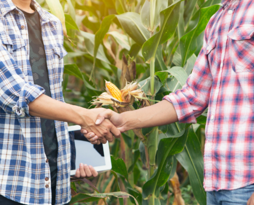 5 Love Languages for Farm Teams - Physical Touch