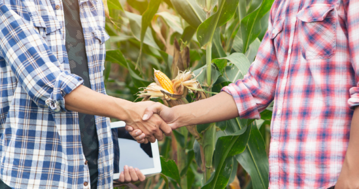 5 Love Languages for Farm Teams - Physical Touch