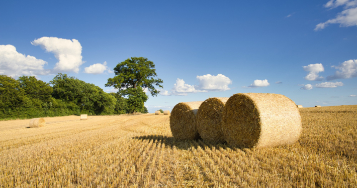 Planning for the Off-Season Strategies to Stay Productive Year-Round - Enable Ag