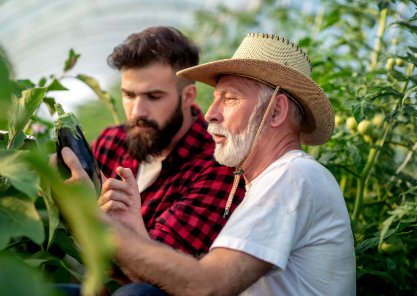 Can You Really Achieve Time Freedom in Farming - Farmer mentoring son