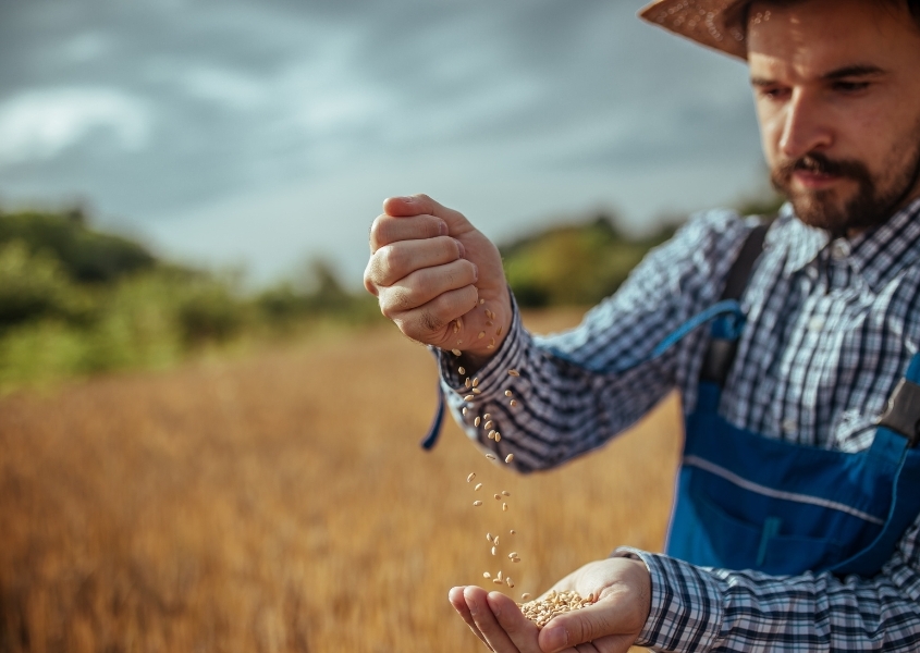 Finding Balance in Farming: Challenging the Myth of Busyness