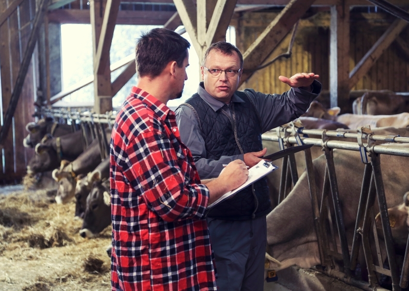 Mastering Modern Farm Management: Four (4) Leadership Tips for Thriving Farms